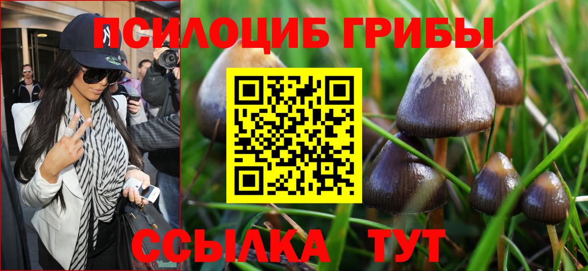 Галлюциногенные грибы Cubensis Краснодар